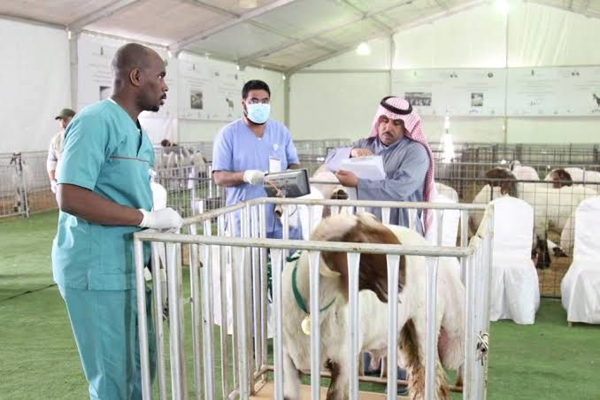 خدمة الاستشارات التقنية